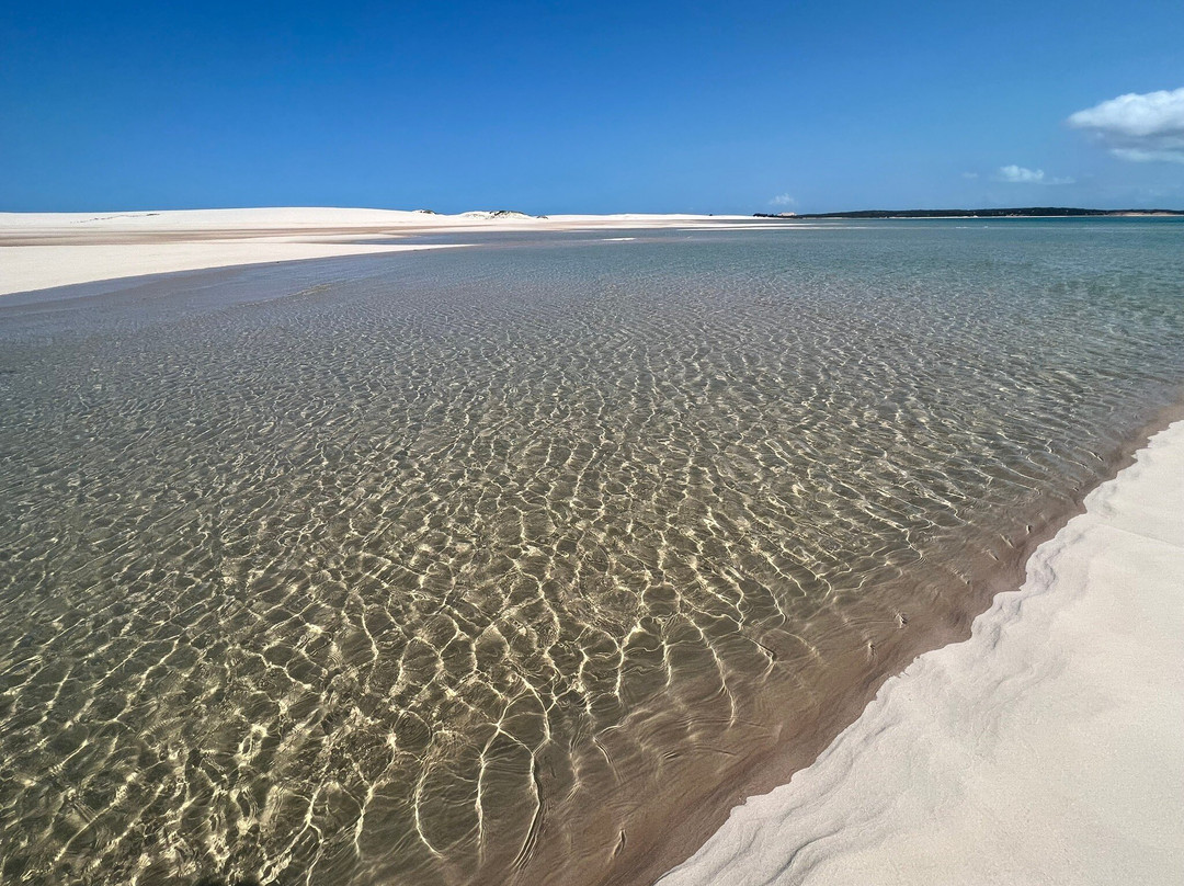 Wild Africa Ocean Safaris-Vilanculos必去景点