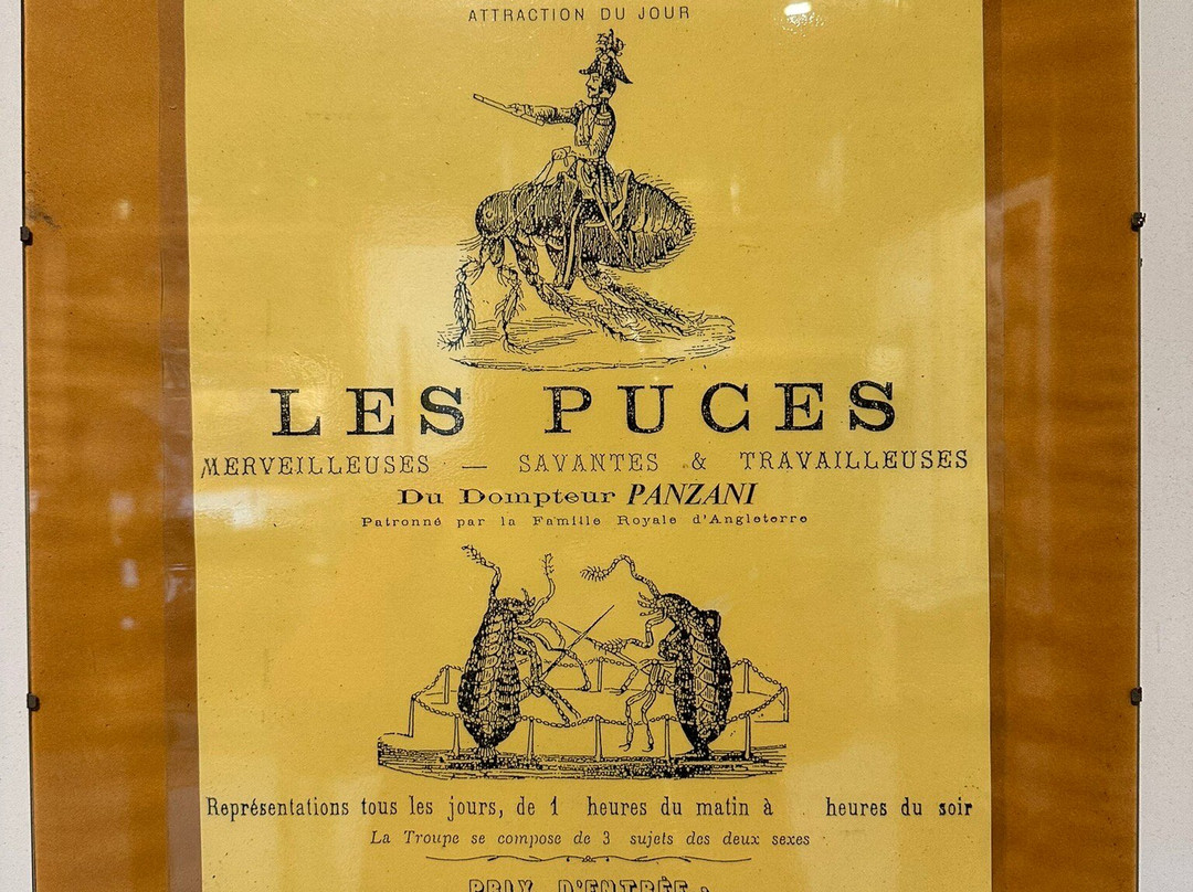 Le Relais Des Arts景点图片