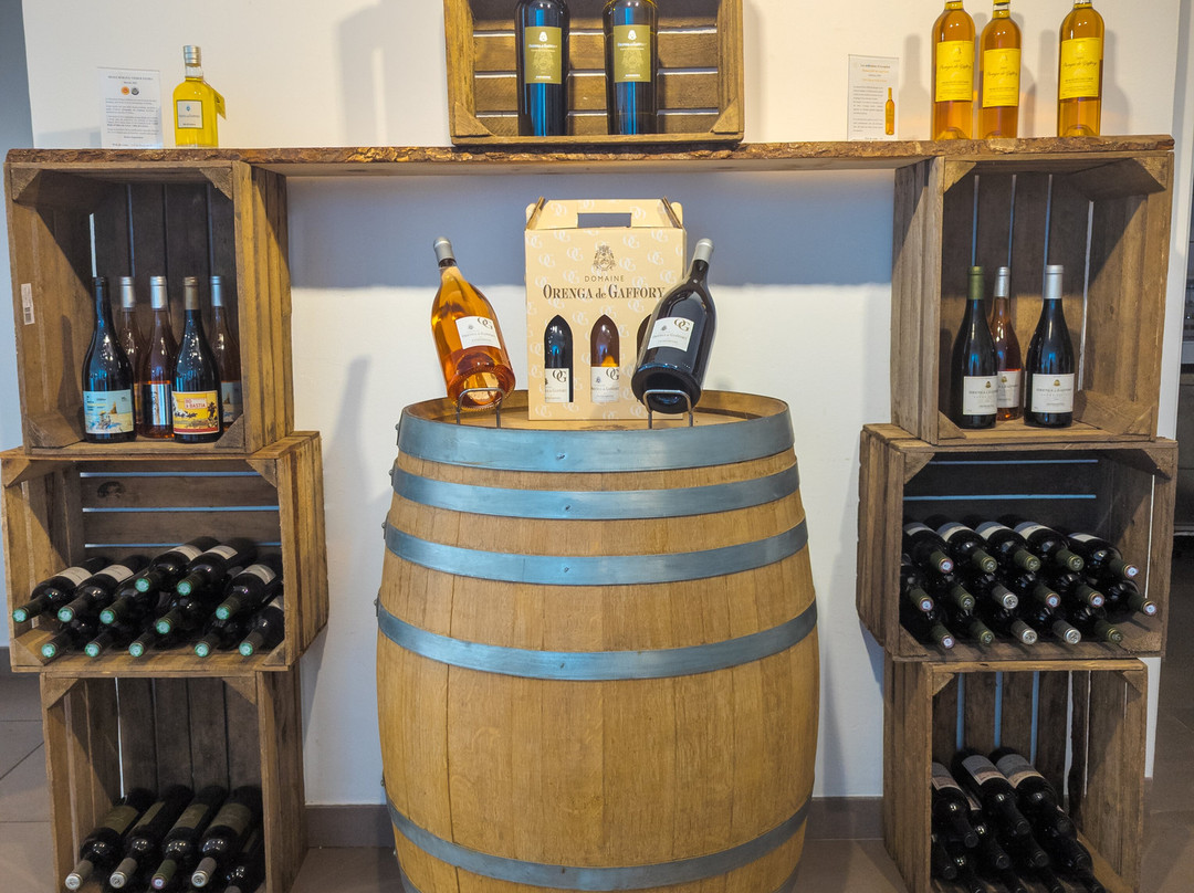 Corsica Wine Tours-Bastia必去景点