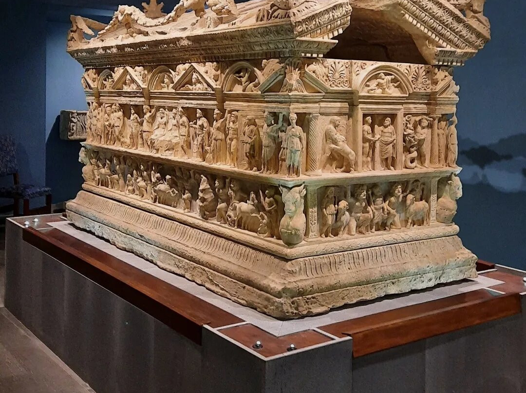Museo Civico di Geopaleontologia e Preistoria dei Colli Albani-韦莱特里必去景点