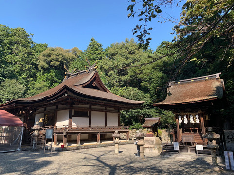 Mikami Shrine-野洲市必去景点