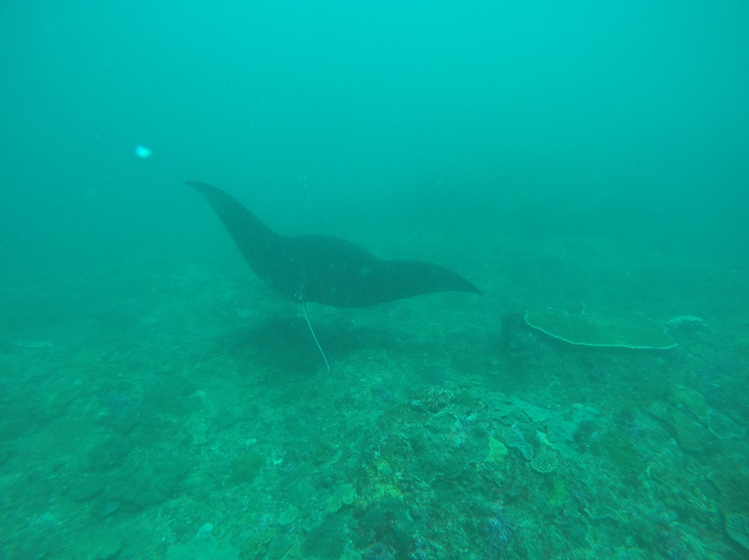 Bali Decouverte-登巴萨必去景点