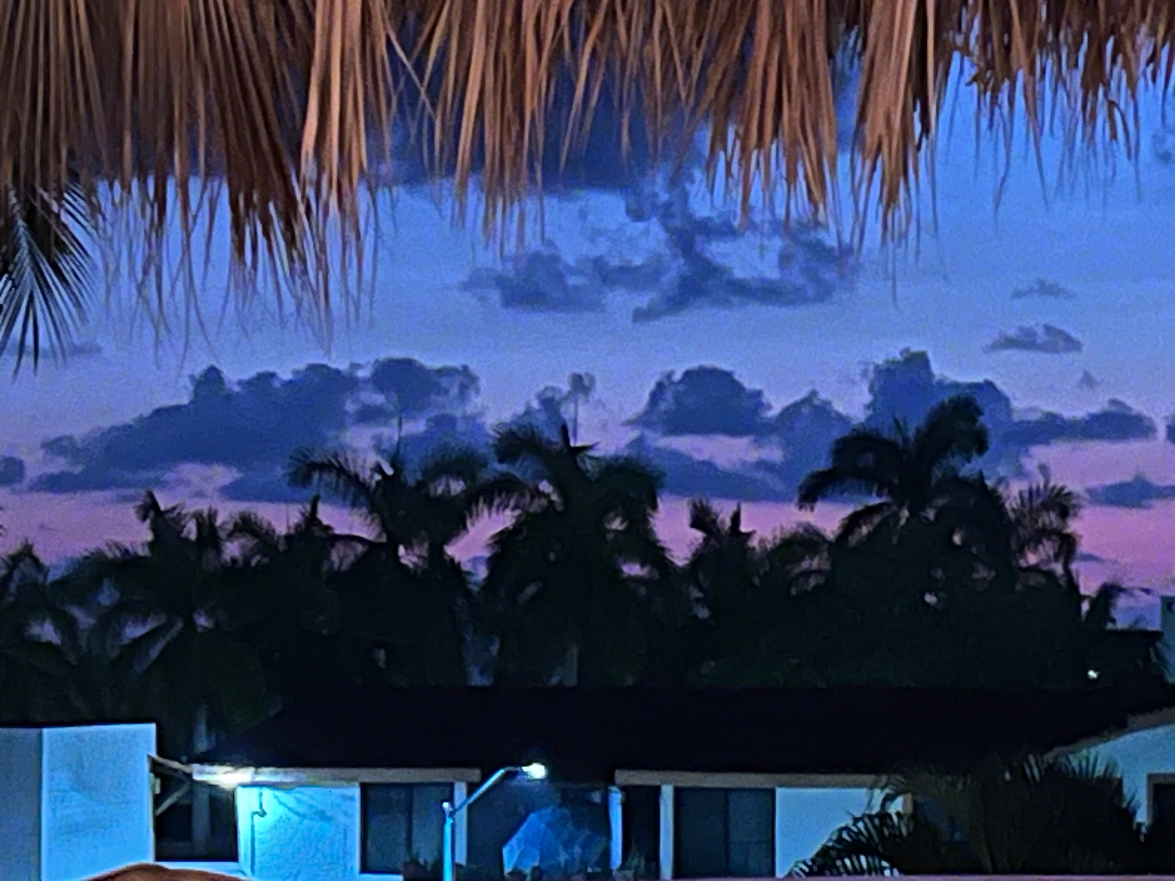 Villa Carolina Hotel-酒店景观