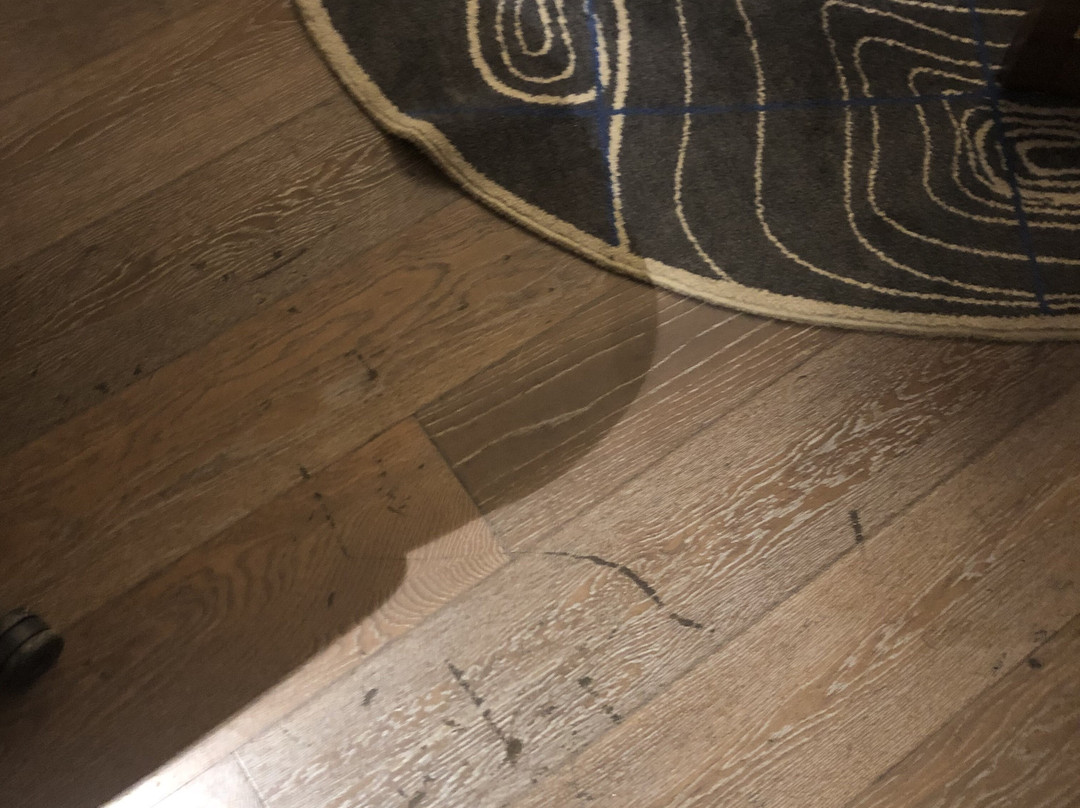 Le Méridien Goa, Calangute主图