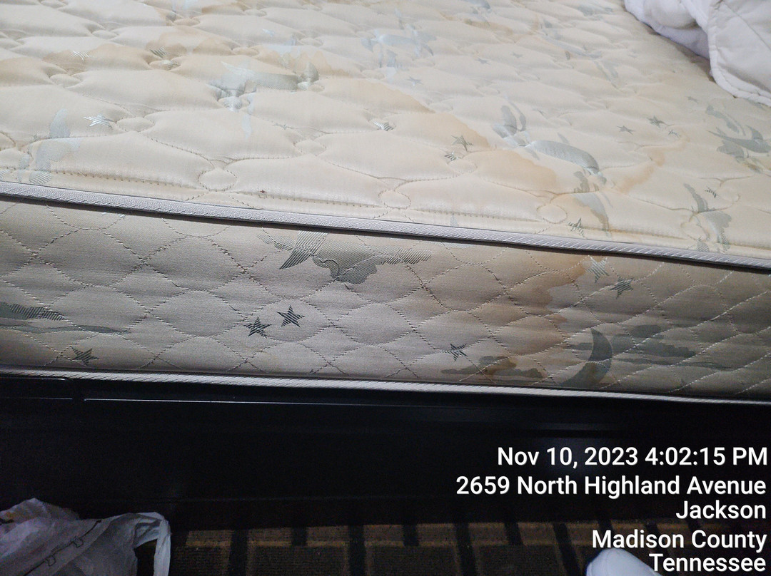 Travelodge by Wyndham Jackson I-40 Exit 82主图