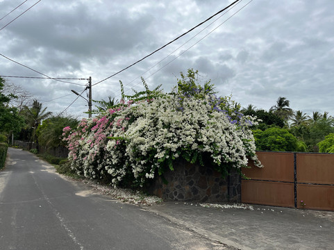 伯恩特别墅酒店主图