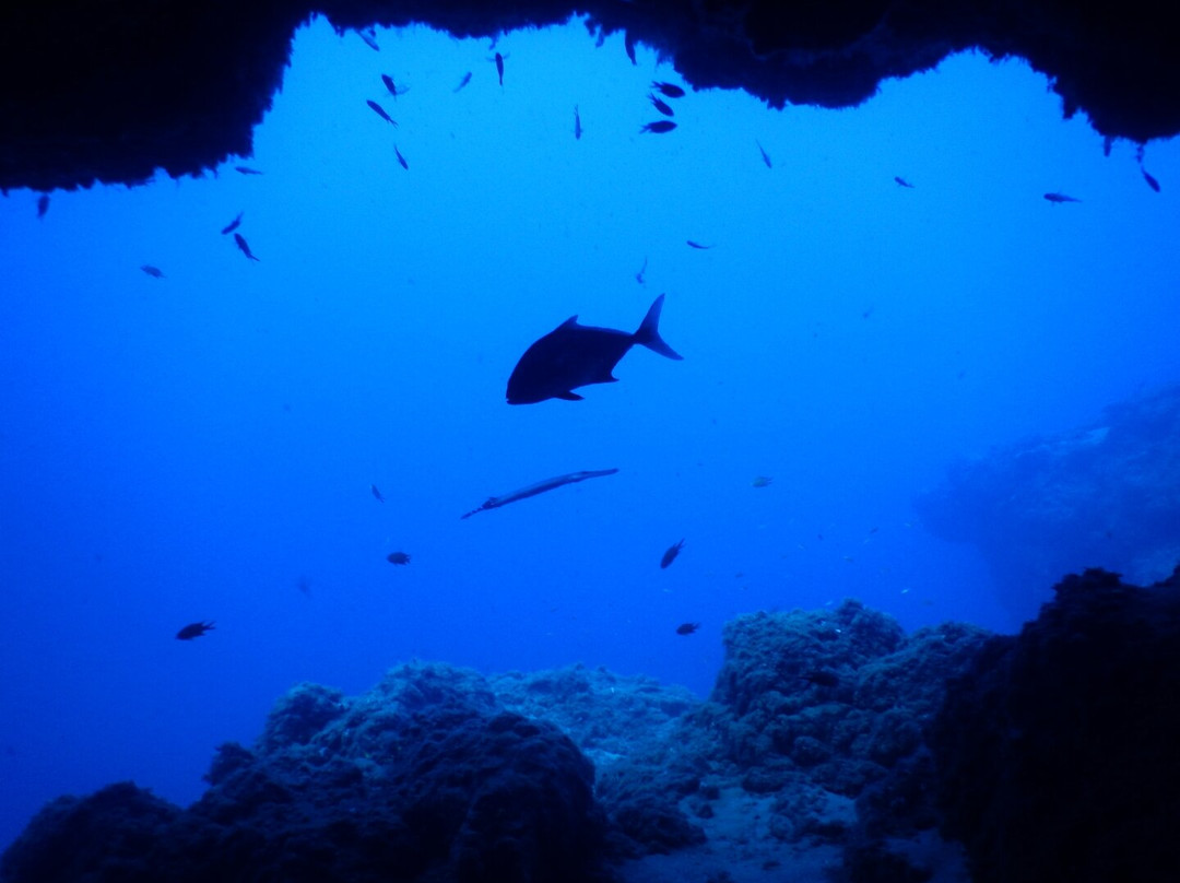Lanzarote Dive Centre-卡门港必去景点