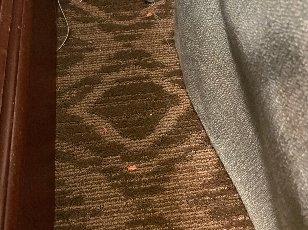 Homewood Suites by Hilton Raleigh/Cary主图