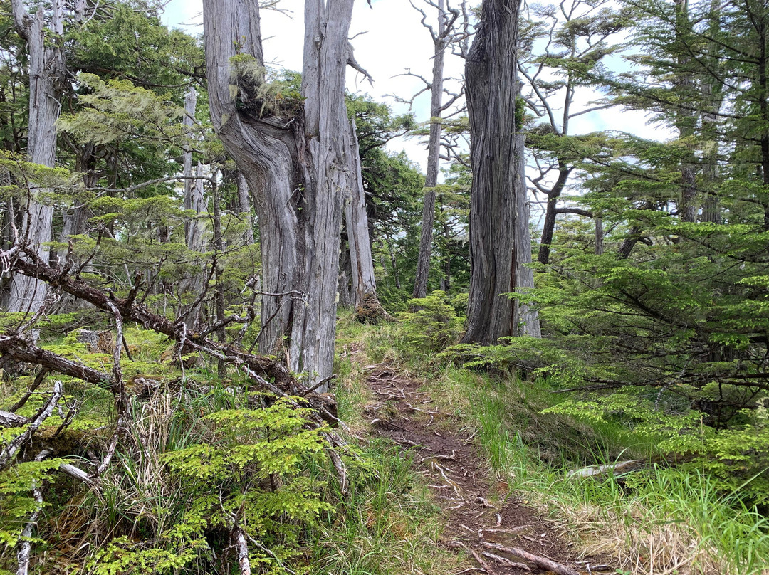 Cape Fife Trail-Masset必去景点