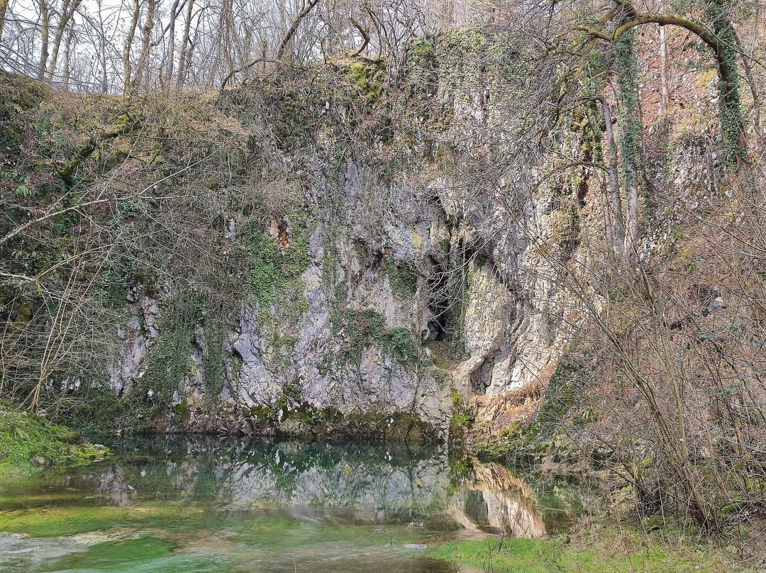 Retovje Springs-Vrhnika必去景点
