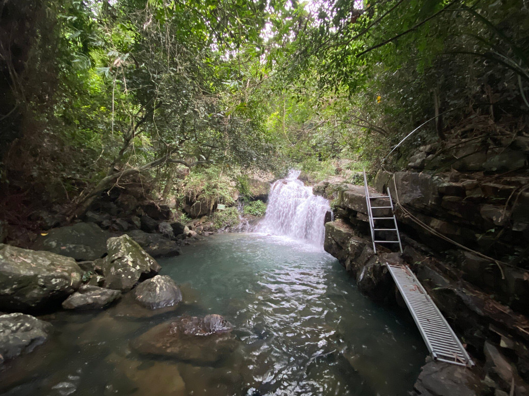 Phong Nha Botanic Garden景点图片