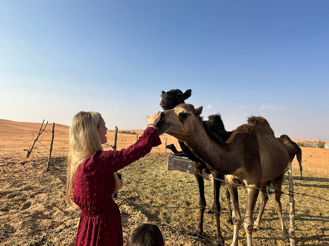 My Saudi Tours-利雅德必去景点