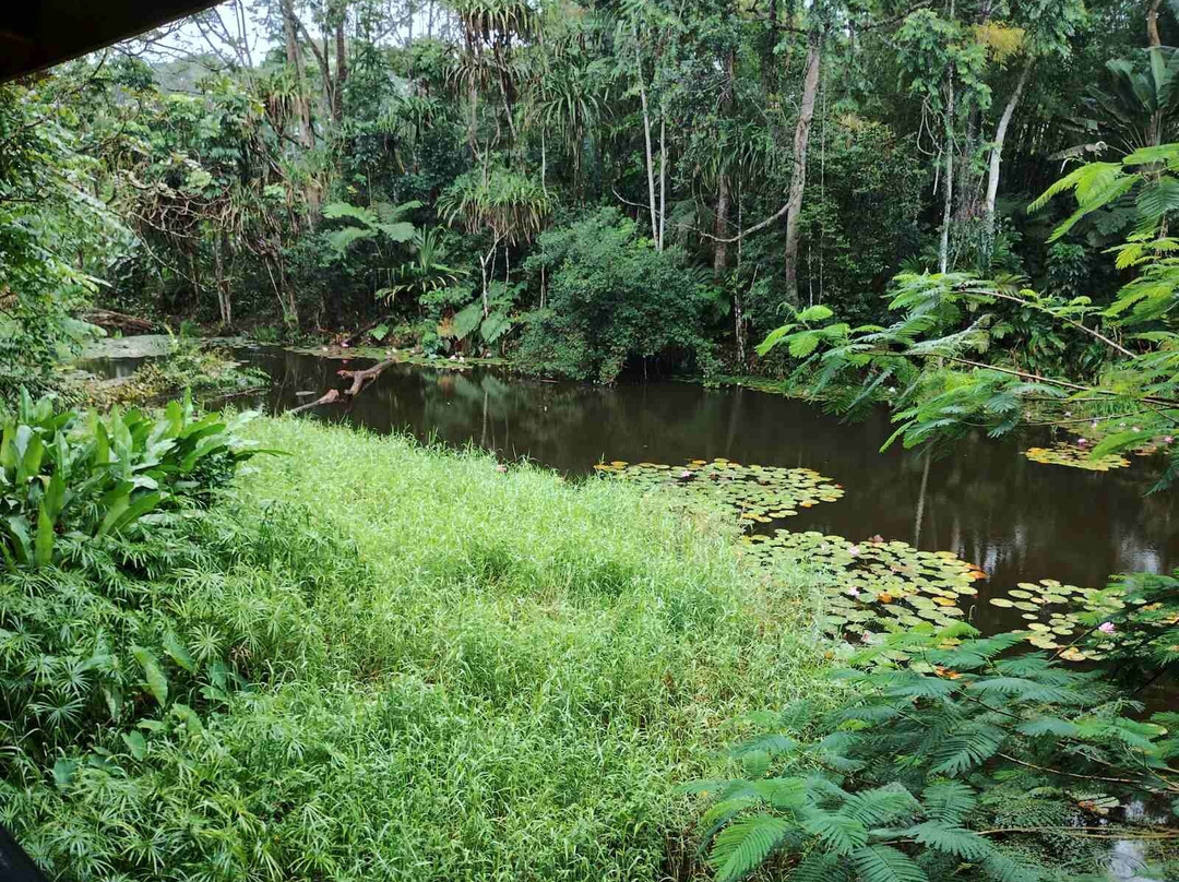 Rainforest Eco Lodge主图