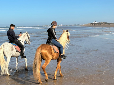 Buggy Essaouira-索维拉必去景点