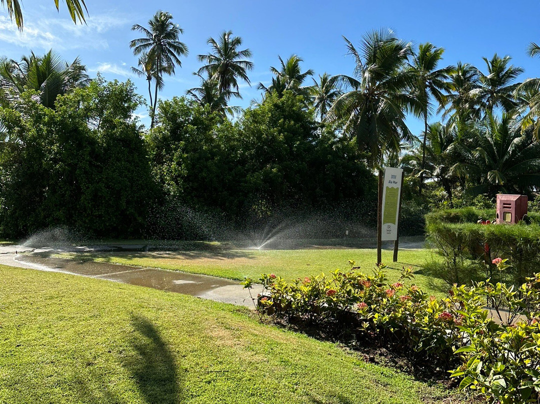 Praia Costa do Sauipe景点图片