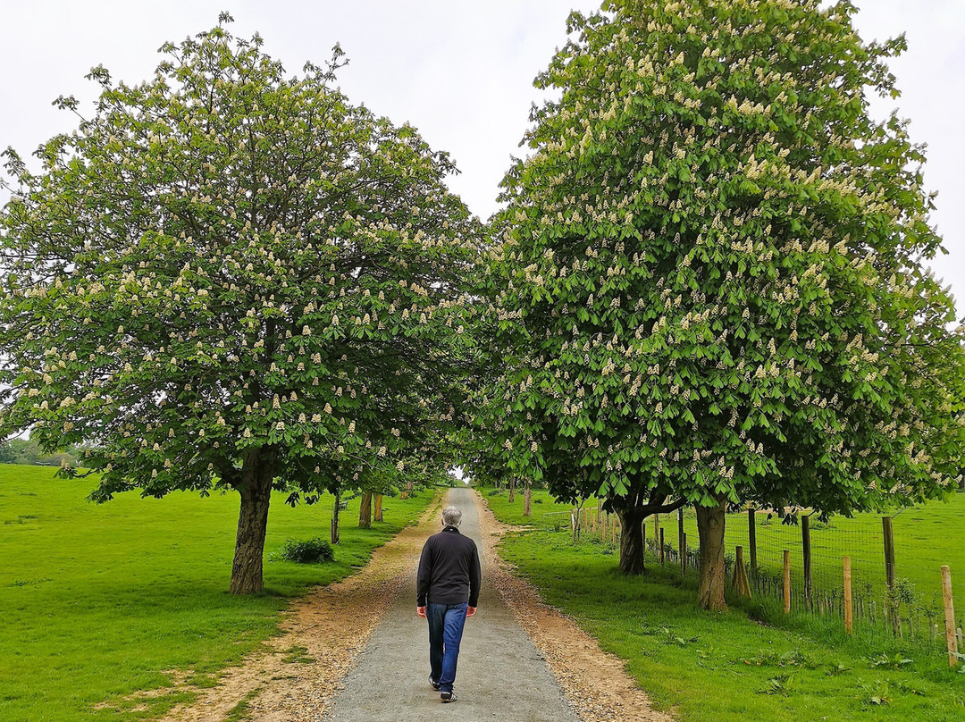 Weald Country Park景点图片
