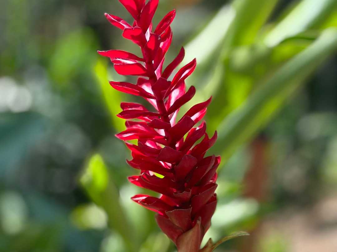 Poza Blanca Lodge主图