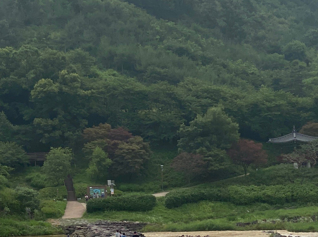 Jincheon Nongdari Bridge景点图片