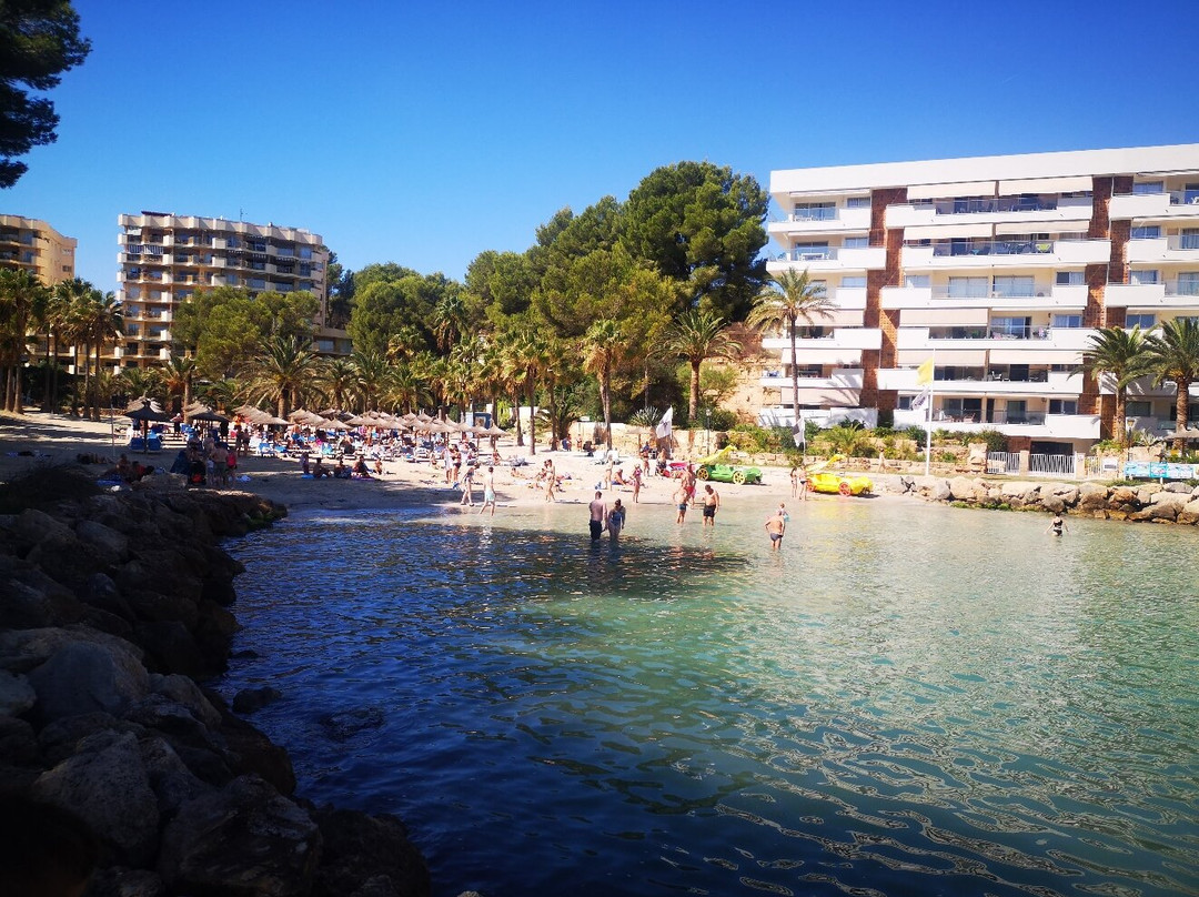 Cala Vinyes beach-Cala Vinyes必去景点