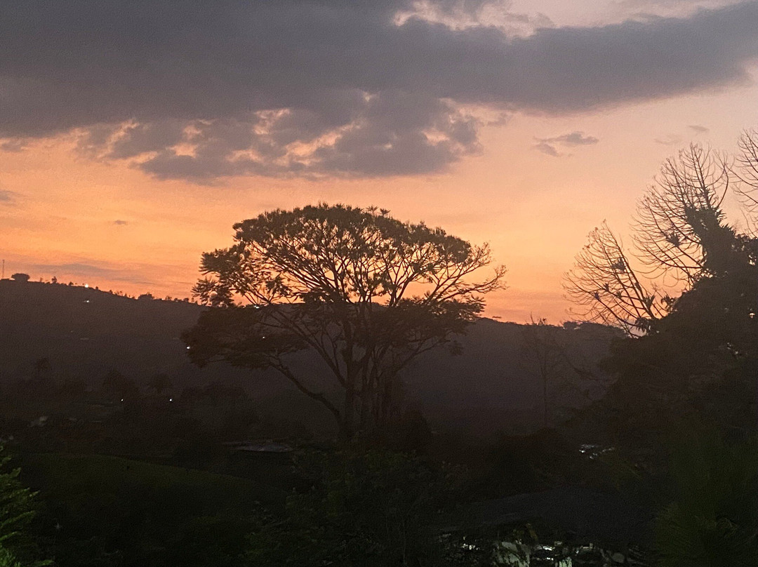 Hacienda Guayabal主图