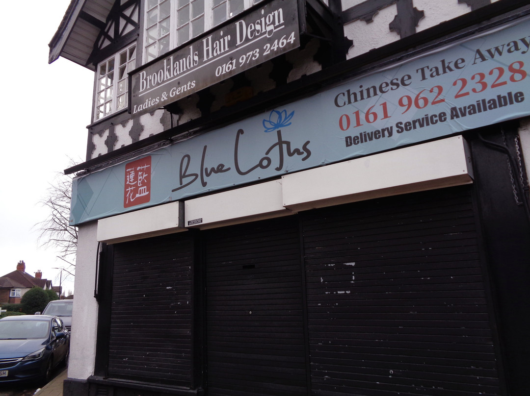Blue Lotus