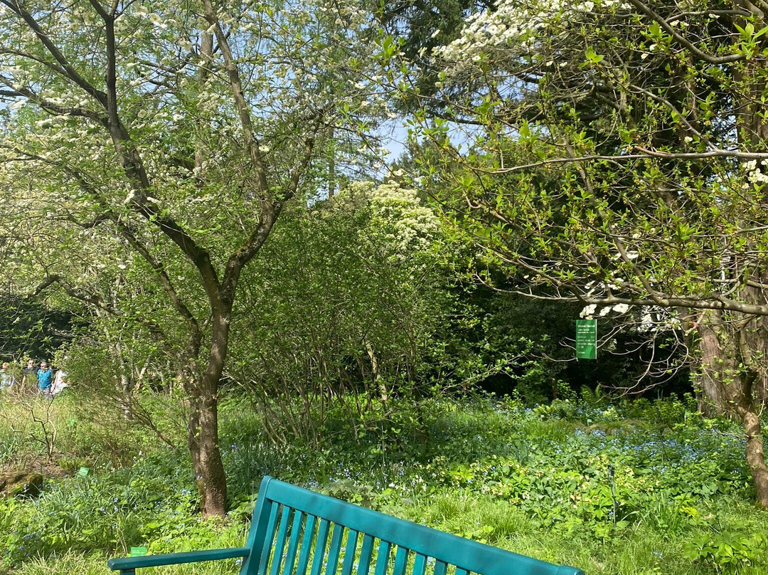 Schau- und Sichtungsgarten Hermannshof-魏因海姆必去景点