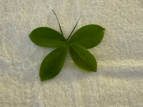 三宝大饭店（福州浦上大道店）主图