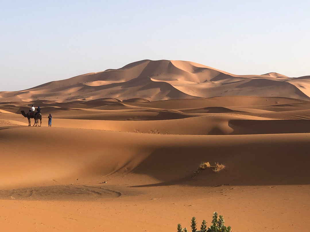 Iconic Morocco Tours-非斯必去景点