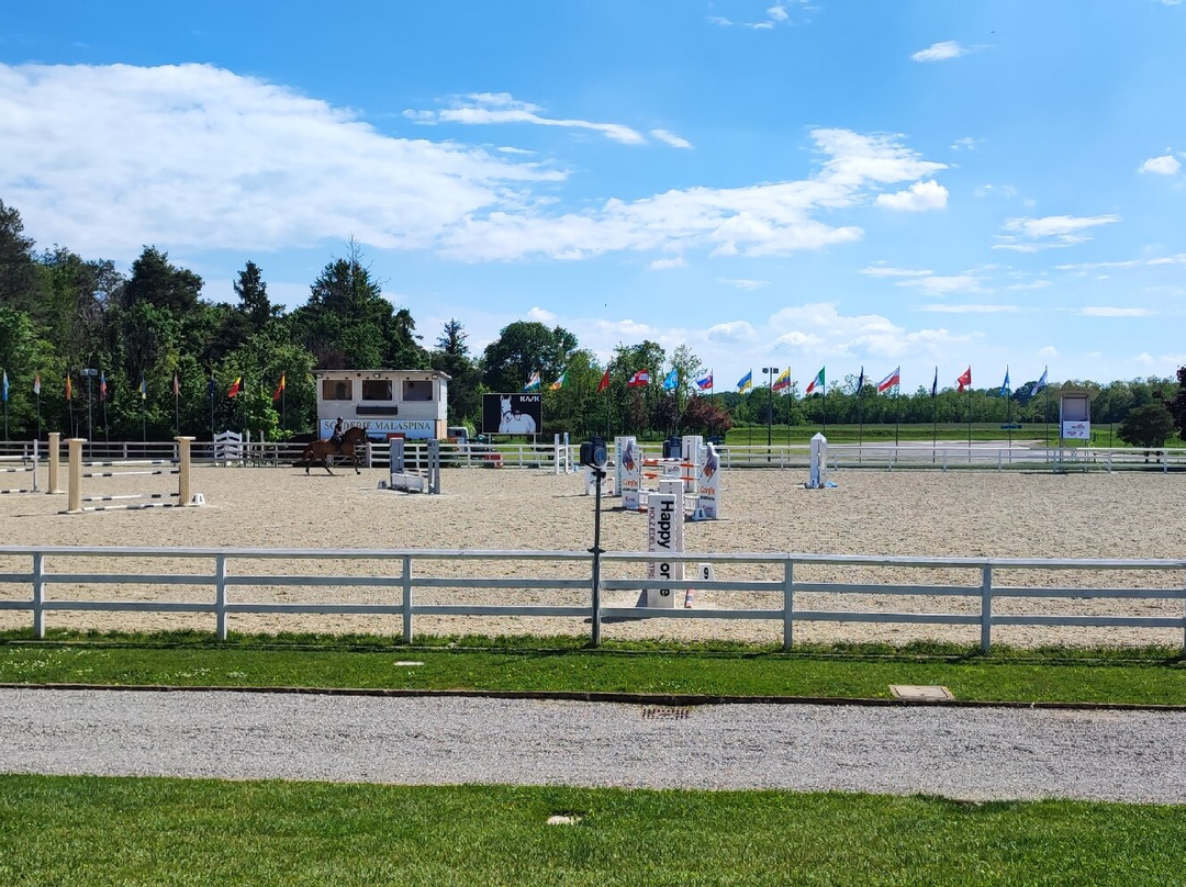 Agriturismo Il Boschetto主图