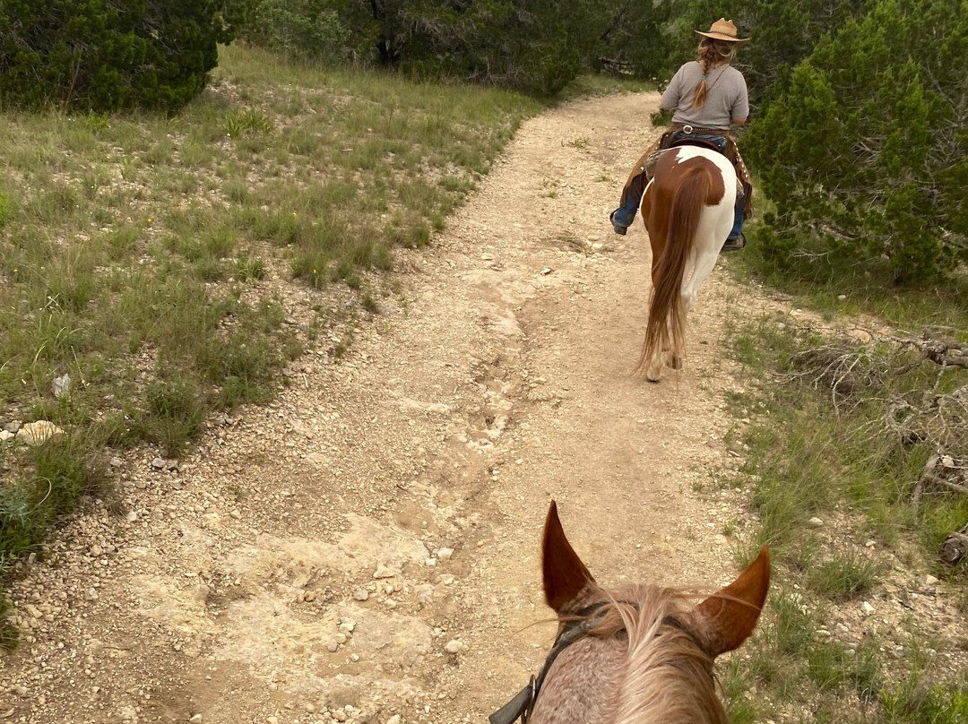 OUTLAW OUTFITTERS Horseback Adventures景点图片