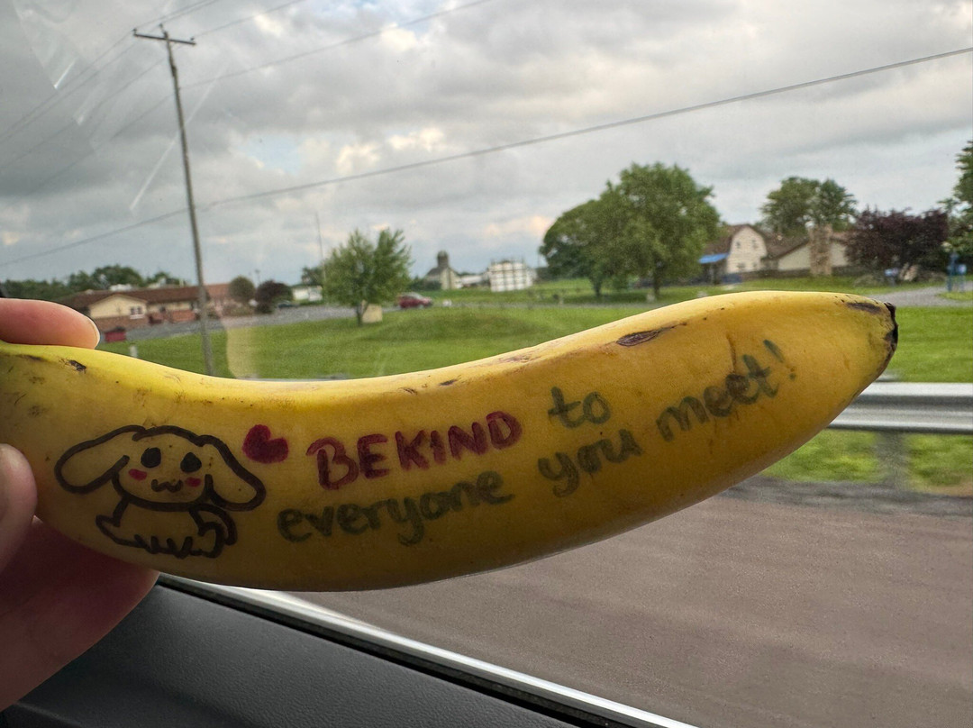 Spark By Hilton Wytheville Holston Rd I 81主图