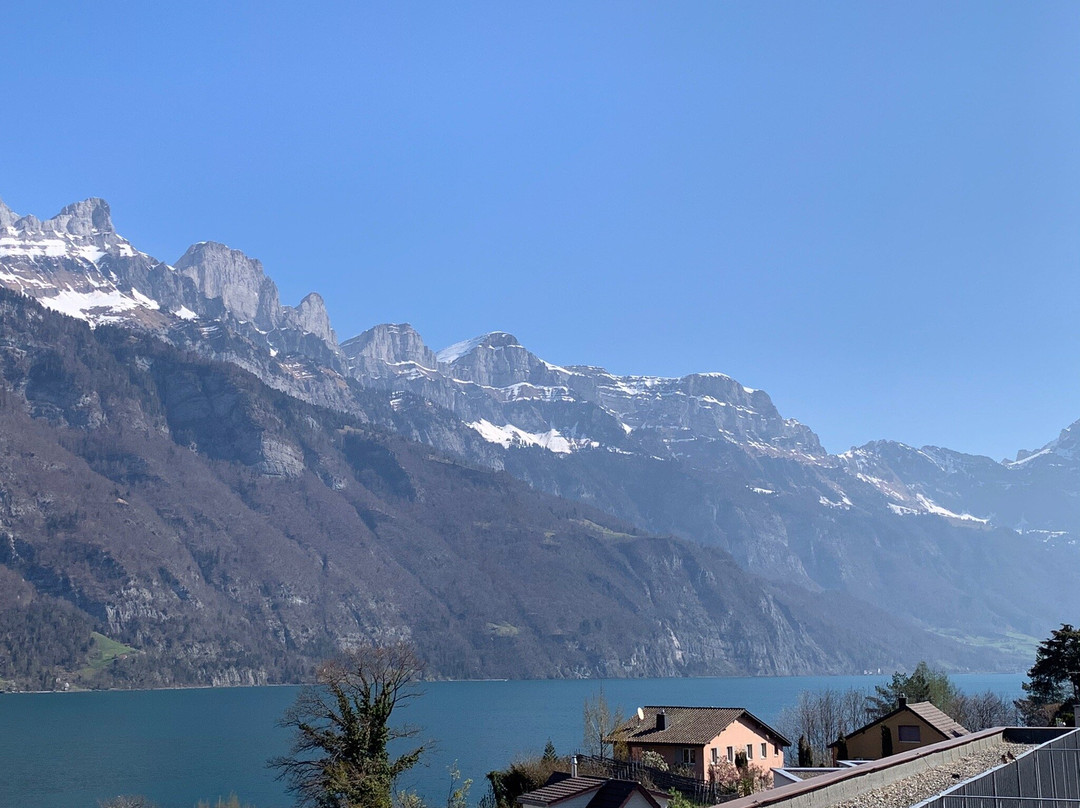 Canton of St. Gallen酒店住宿-Lofthotel Am Walensee
