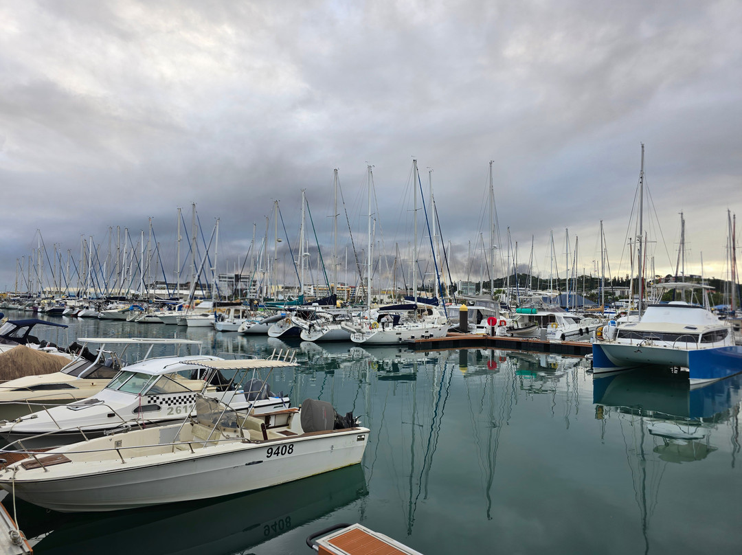 Noumea Morning Market-努美阿必去景点