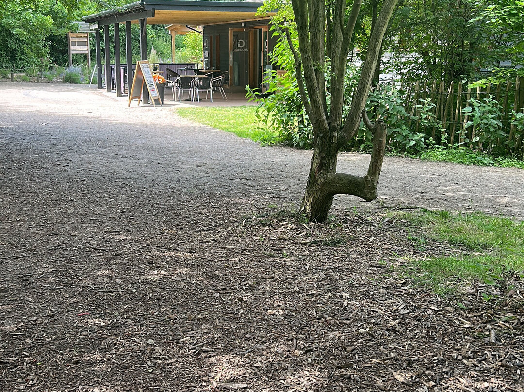 Milton Country Park景点图片
