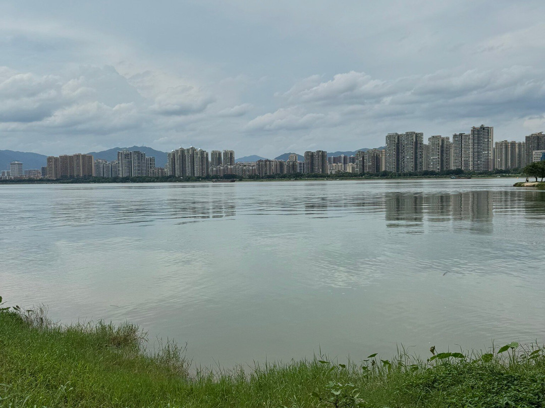 江滨公园景点图片