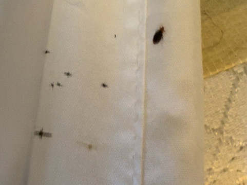 舒适套房林肯北主图