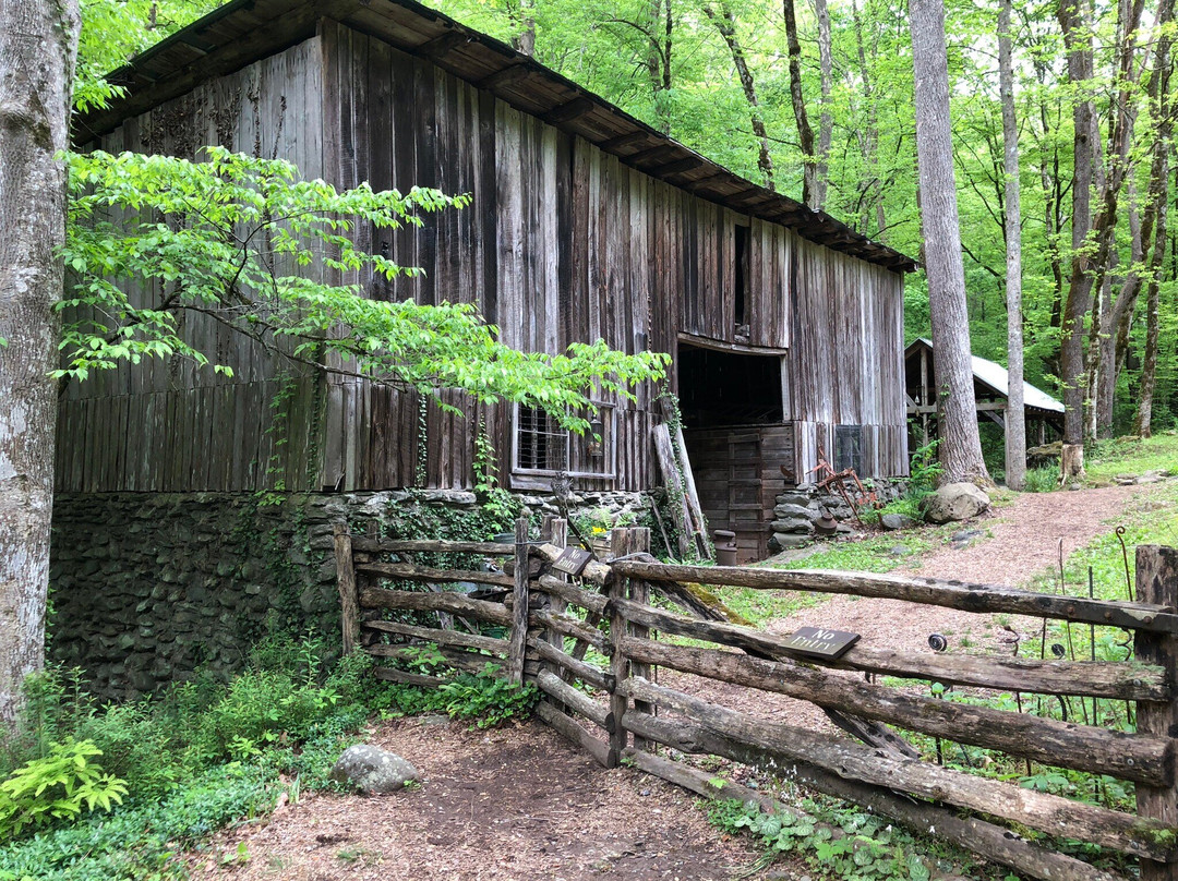 Historic Ogle Log Cabin-盖林柏格必去景点