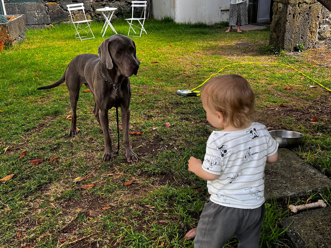 Quinta de Sao Pedro主图
