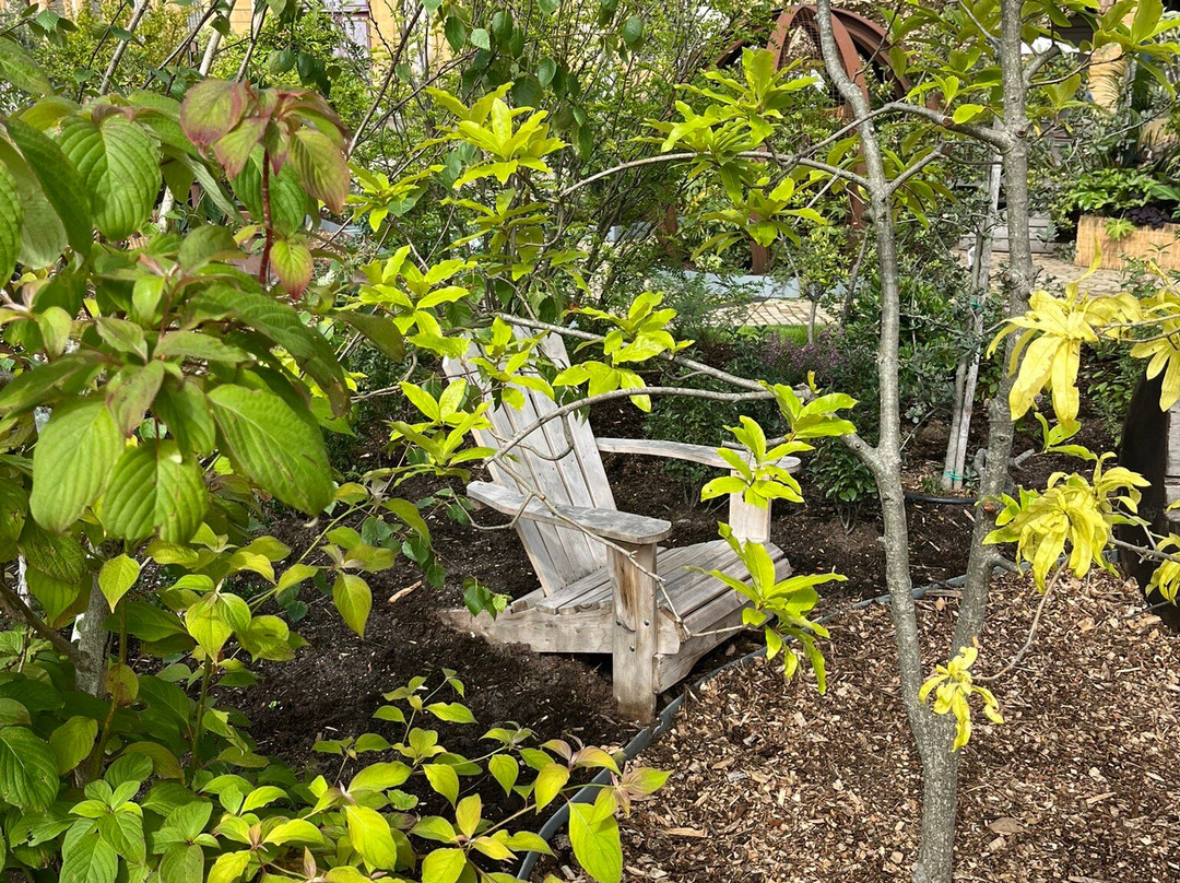 Jardin d'Été-梅斯必去景点