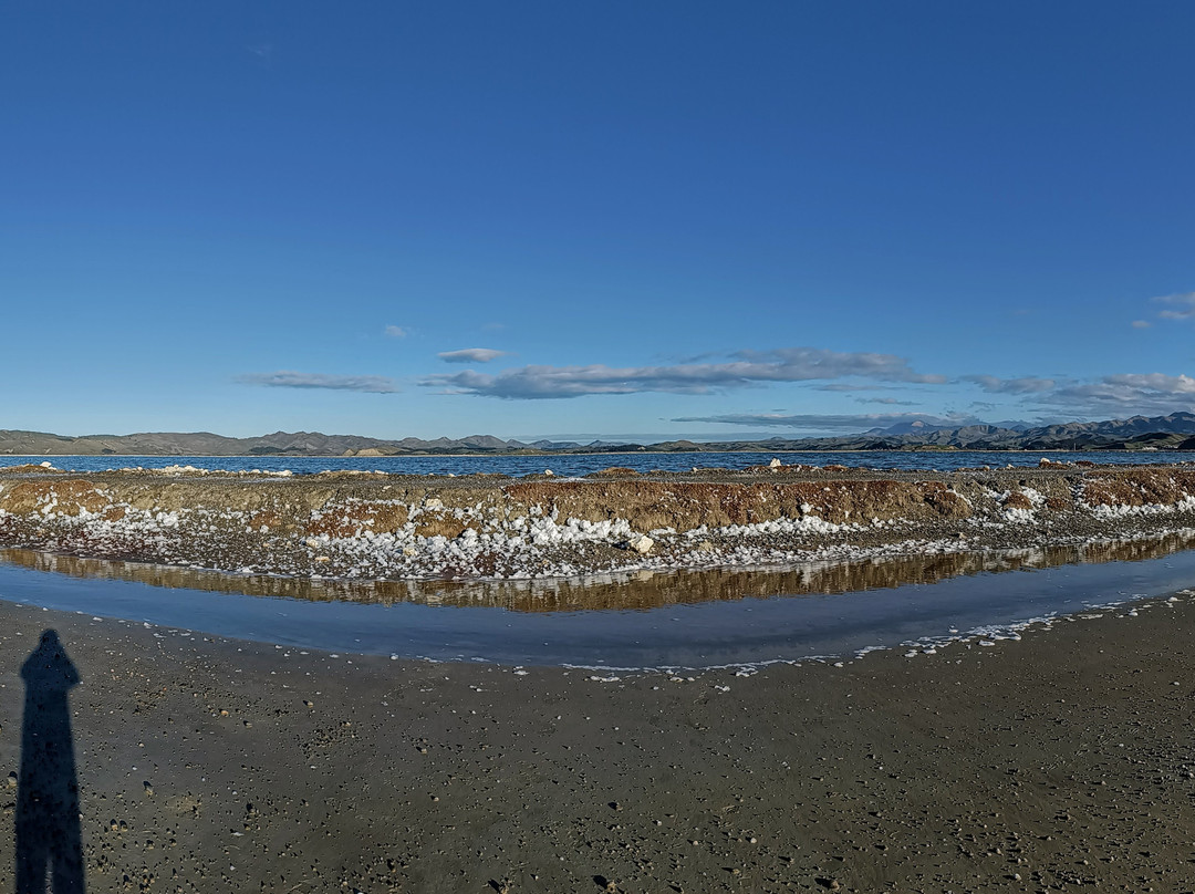 Lake Grassmere景点图片