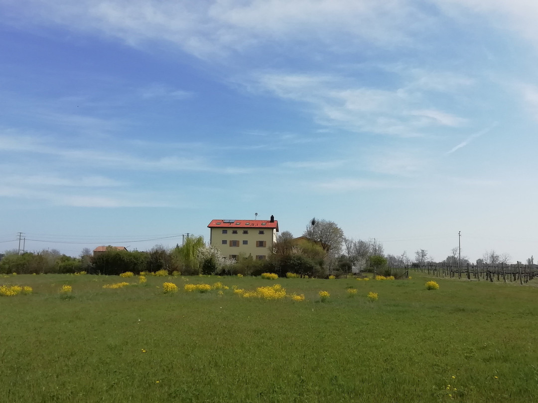 B&b Ca' Dal Frol
