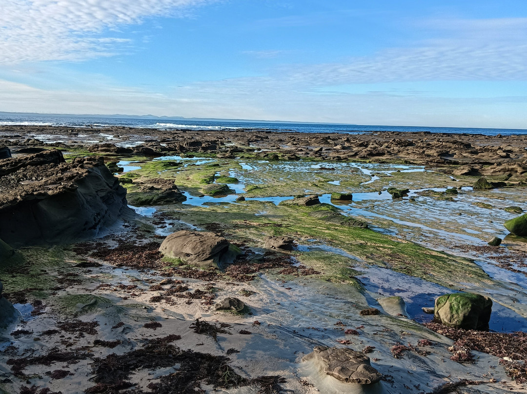Dinosaur Dreaming-Inverloch必去景点