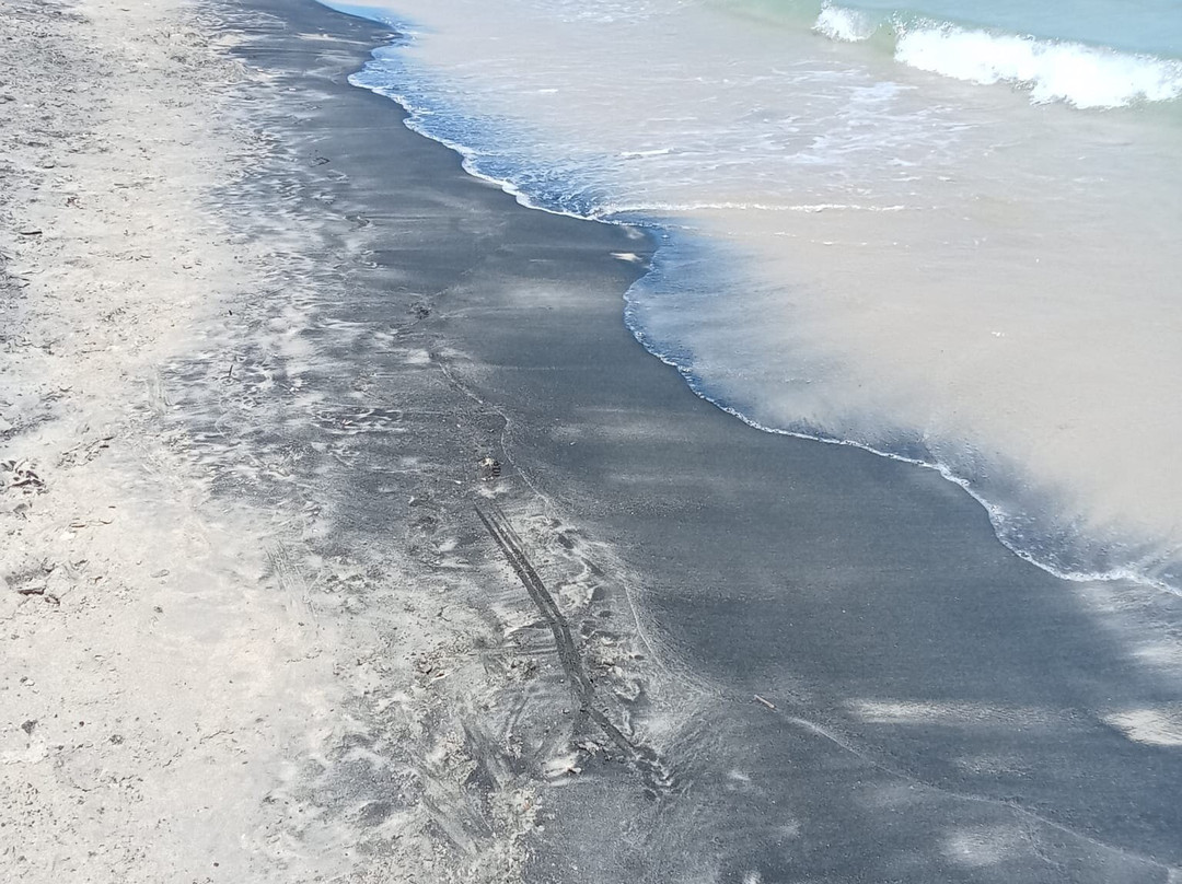 Spiaggia San Cataldo-San Cataldo必去景点