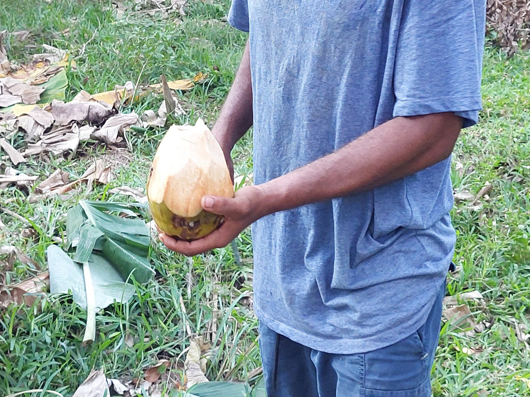 Village Green Spice farm-桑给巴尔岛必去景点