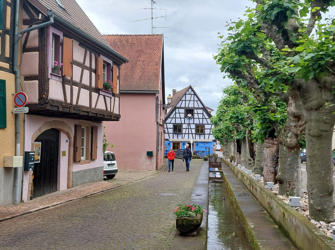 Vieille ville de Bergheim景点图片