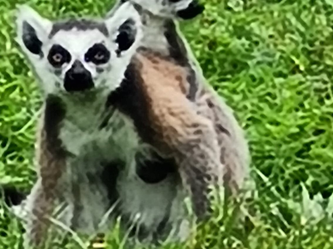 Tierpark Essehof-Lehre必去景点