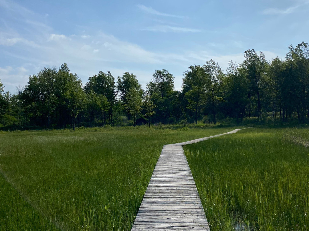 Irwin Prairie State Nature Preserve-托莱多必去景点
