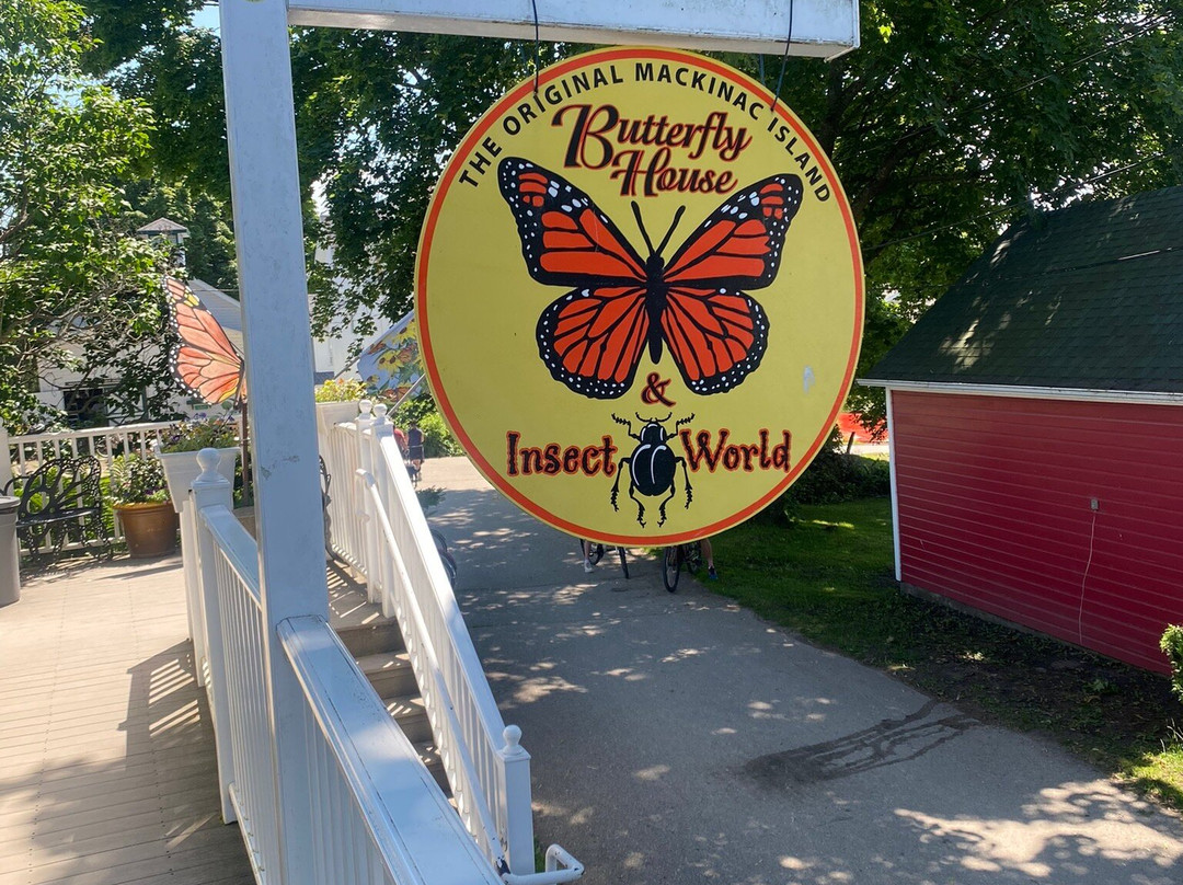 The Original Mackinac Island Butterfly House & Insect World景点图片