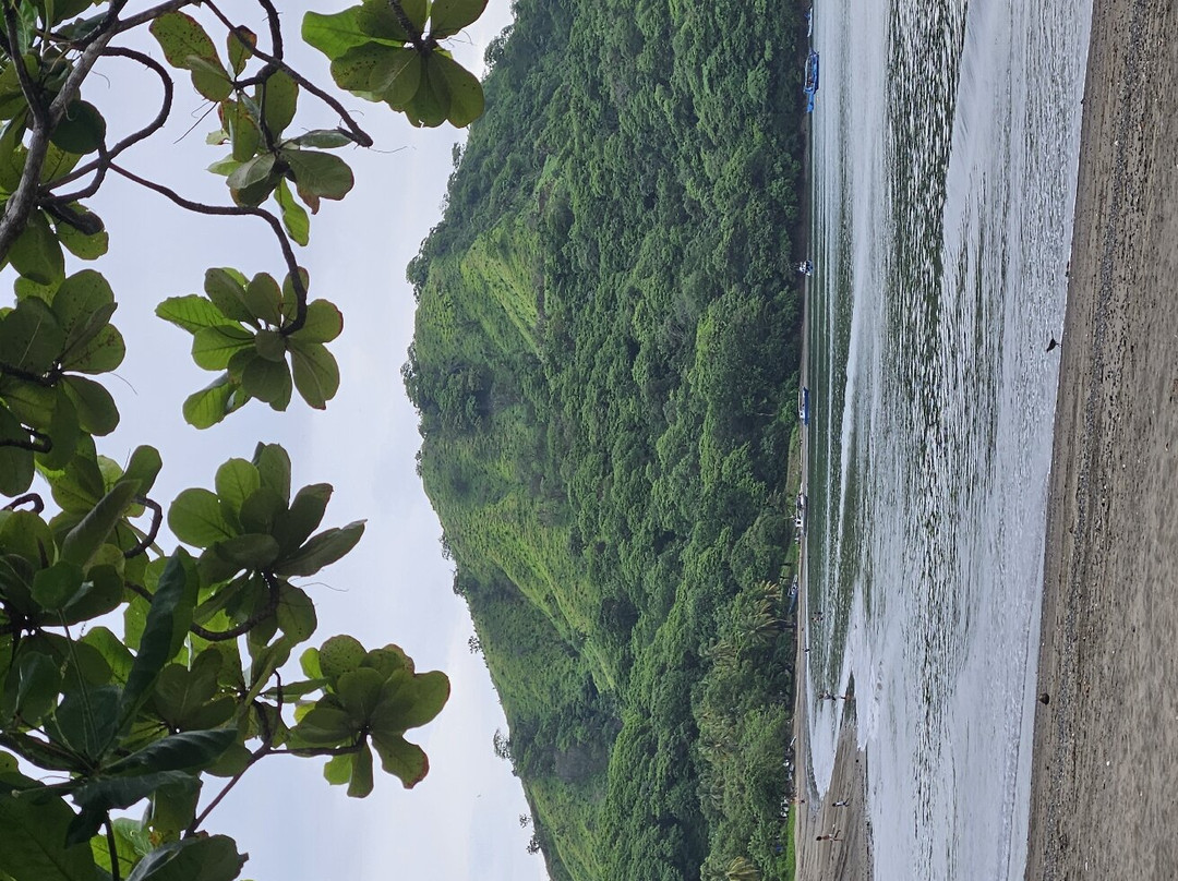 Playas del coco景点图片