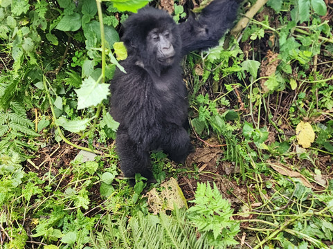 Makario Safaris Ltd.-吉佳利必去景点